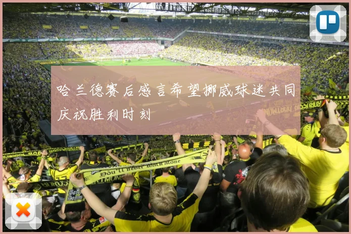 哈兰德赛后感言希望挪威球迷共同庆祝胜利时刻